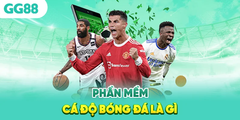 Phần mềm cá độ bóng đá là gì